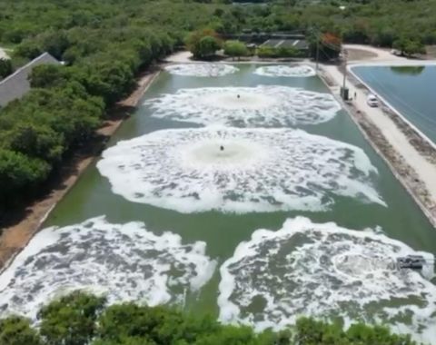 Grupo Punta Cana, RD